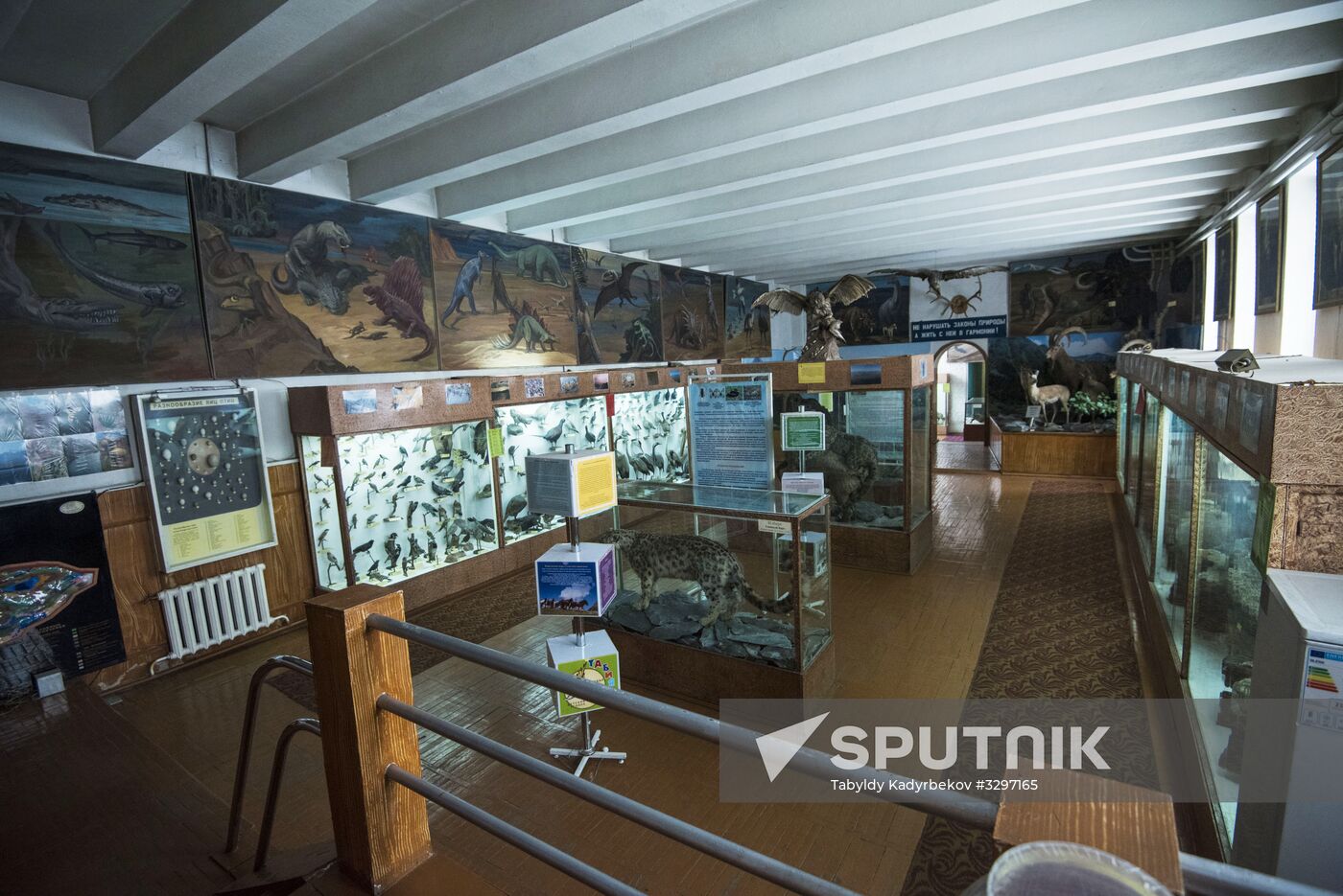 Zoological Museum in Bishkek