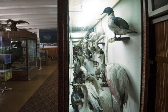 Zoological Museum in Bishkek