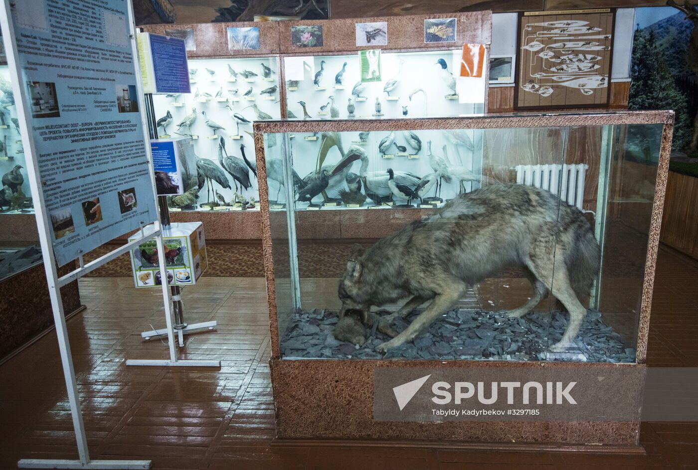 Zoological Museum in Bishkek