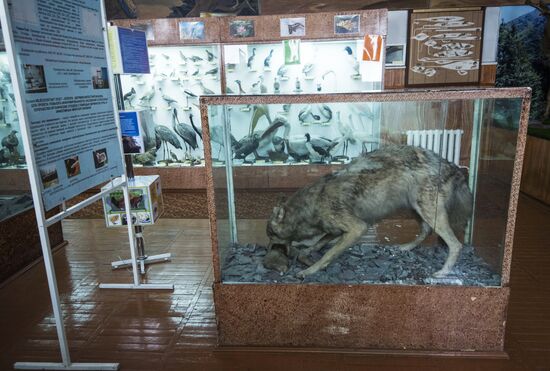 Zoological Museum in Bishkek