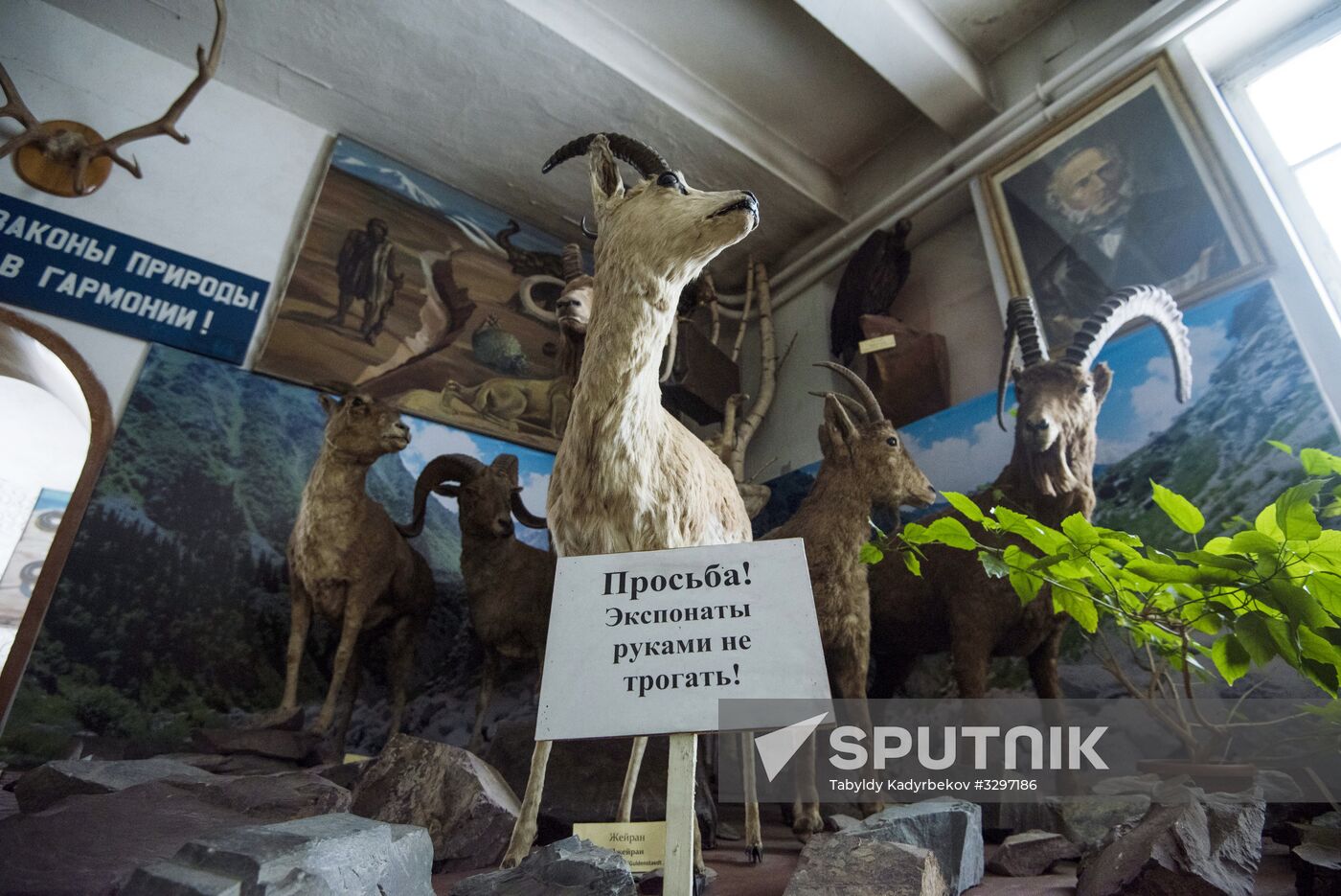 Zoological Museum in Bishkek