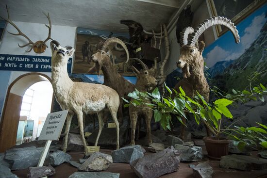 Zoological Museum in Bishkek