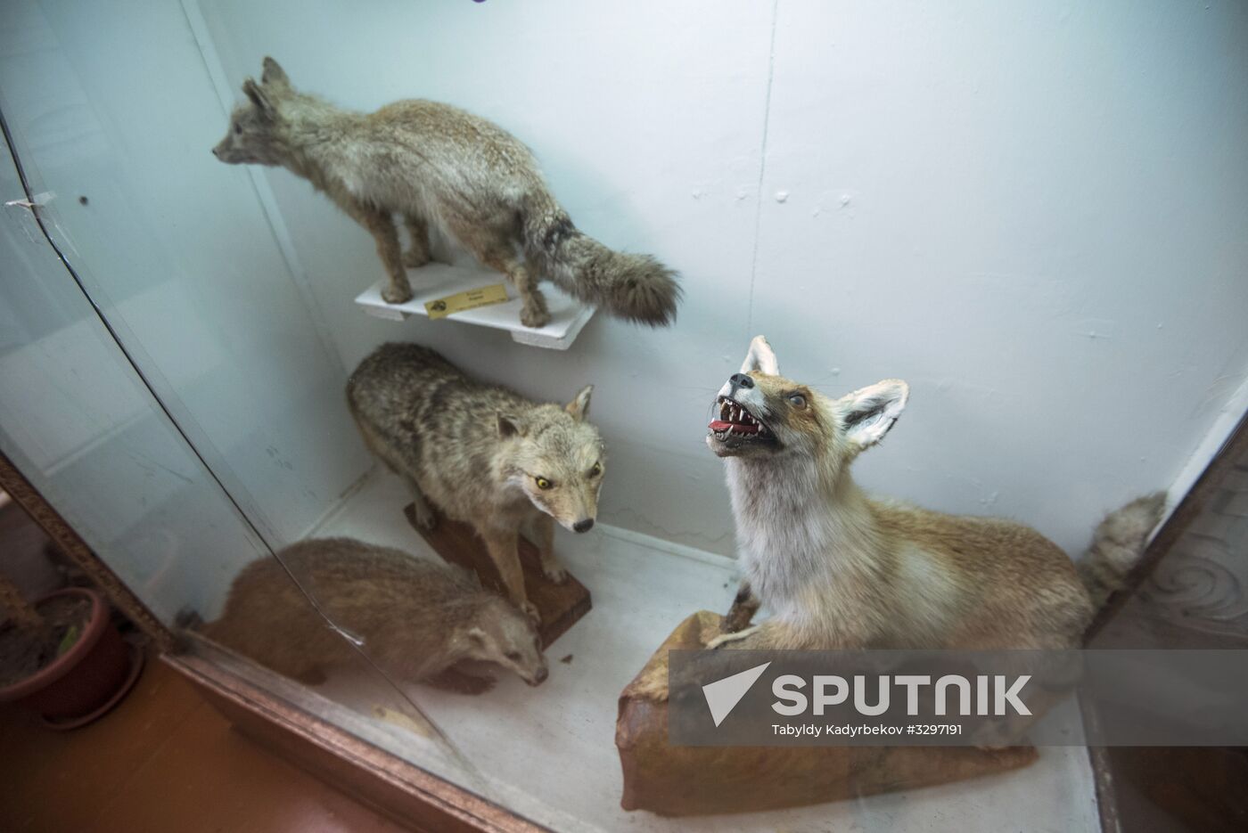 Zoological Museum in Bishkek