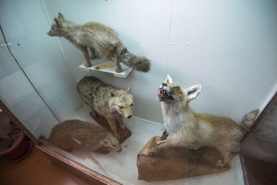 Zoological Museum in Bishkek