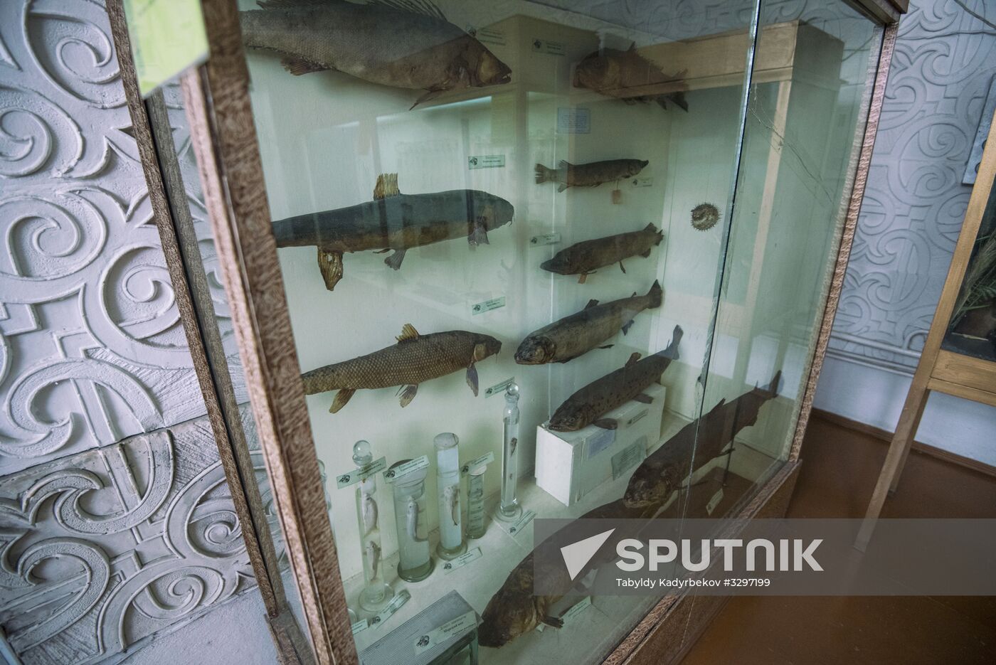 Zoological Museum in Bishkek