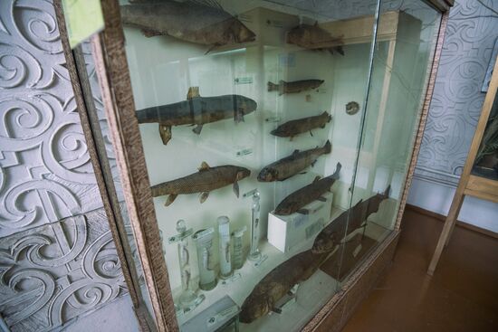 Zoological Museum in Bishkek