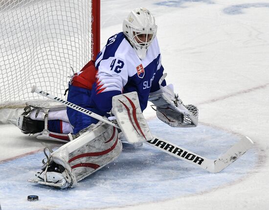 2018 Winter Olympics. Ice hockey. Men. Slovakia vs. Russia