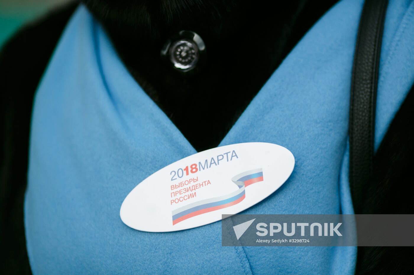 Election commission making door-to-door rounds in Volgograd