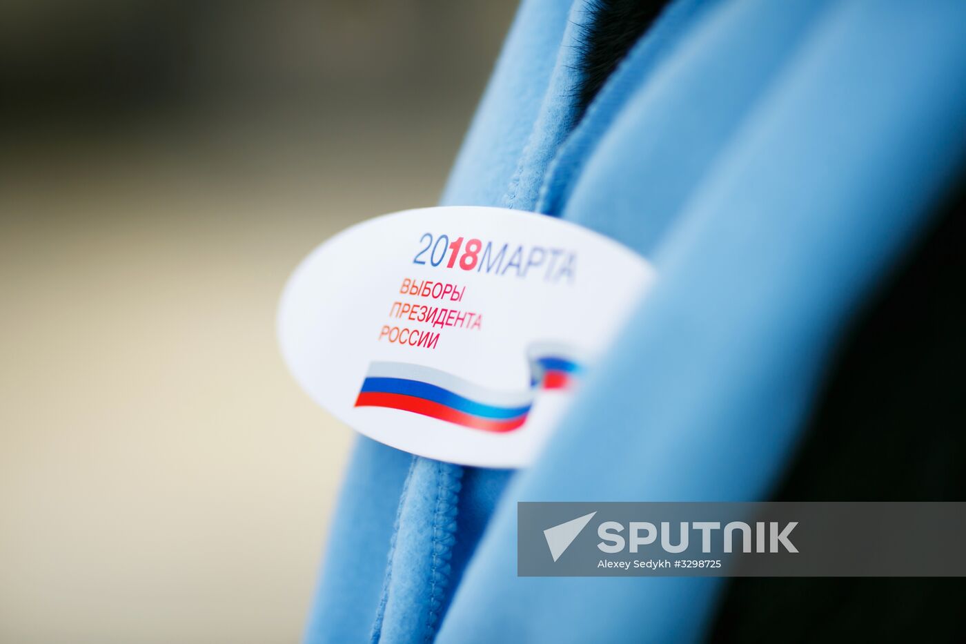 Election commission making door-to-door rounds in Volgograd