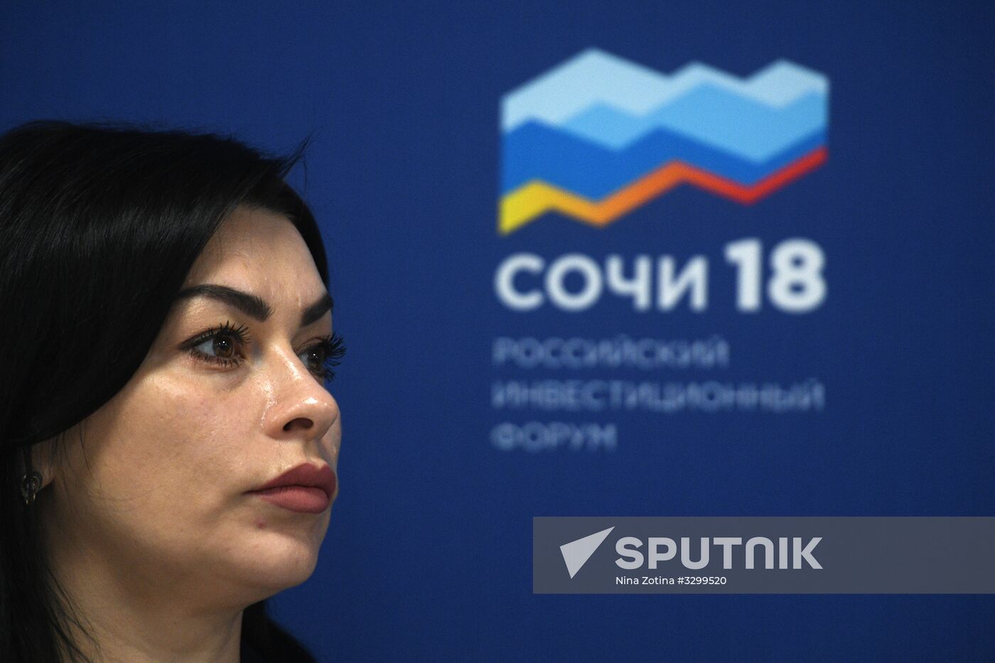 Russian Investment Forum in Sochi. Day two