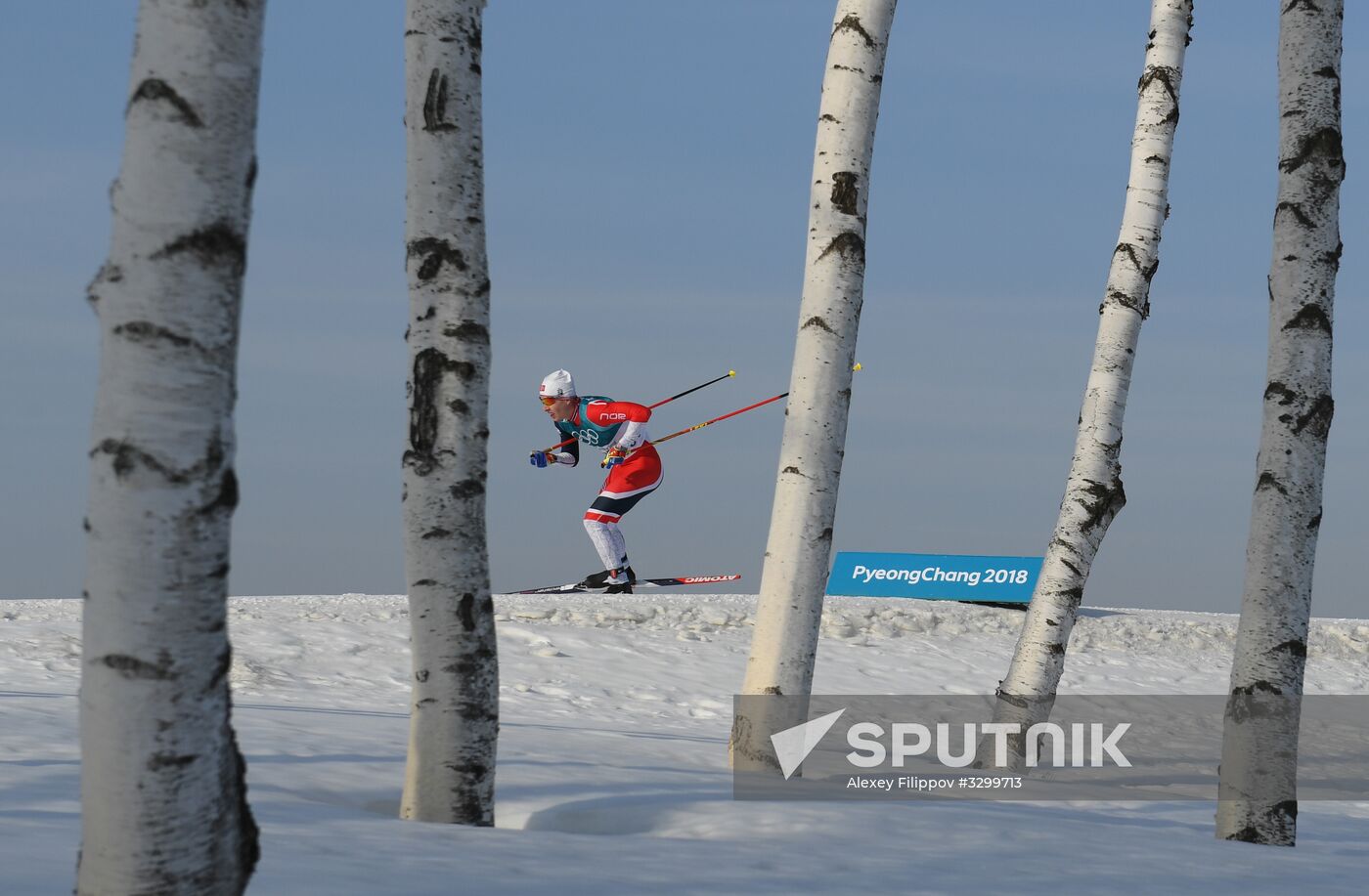 2018 Winter Olympics. Cross-country skiing. Men. 15 km. Freestyle
