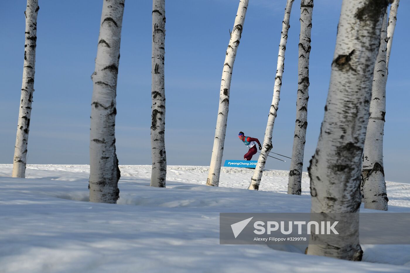 2018 Winter Olympics. Cross-country skiing. Men. 15 km. Freestyle