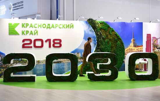 Russian Investment Forum in Sochi. Day two