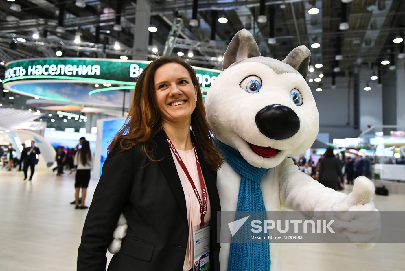 Russian Investment Forum in Sochi. Day two