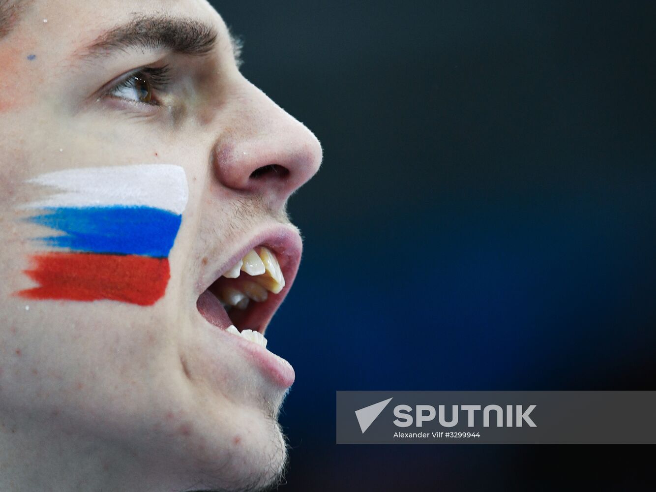 2018 Winter Olympics. Ice hockey. Men. Russia vs. Slovenia