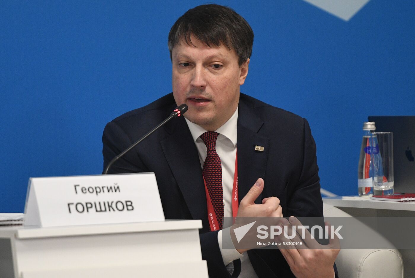 Russian Investment Forum in Sochi. Day two