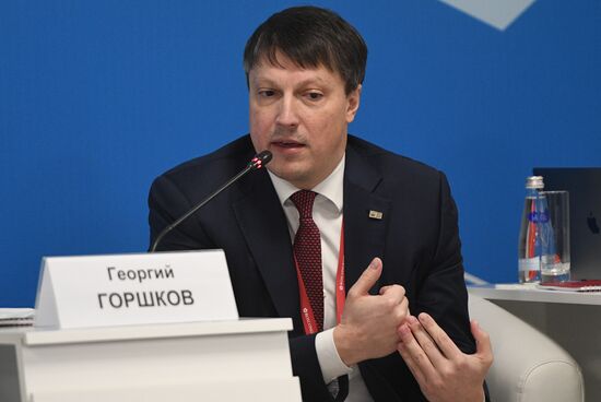 Russian Investment Forum in Sochi. Day two