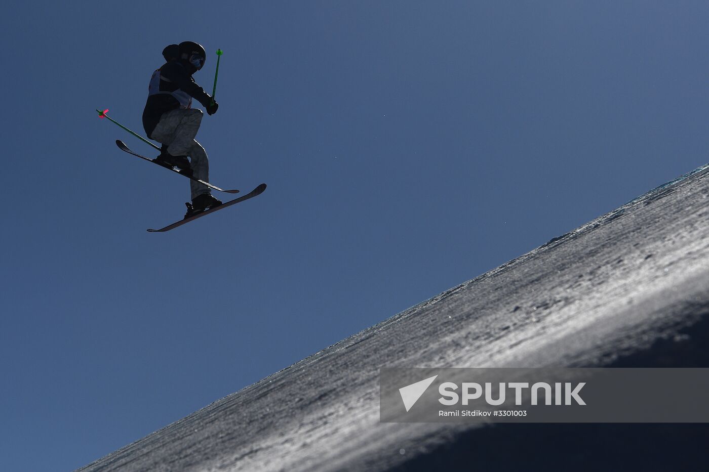 2018 Winter Olympics. Freestyle skiing. Women. Slopestyle