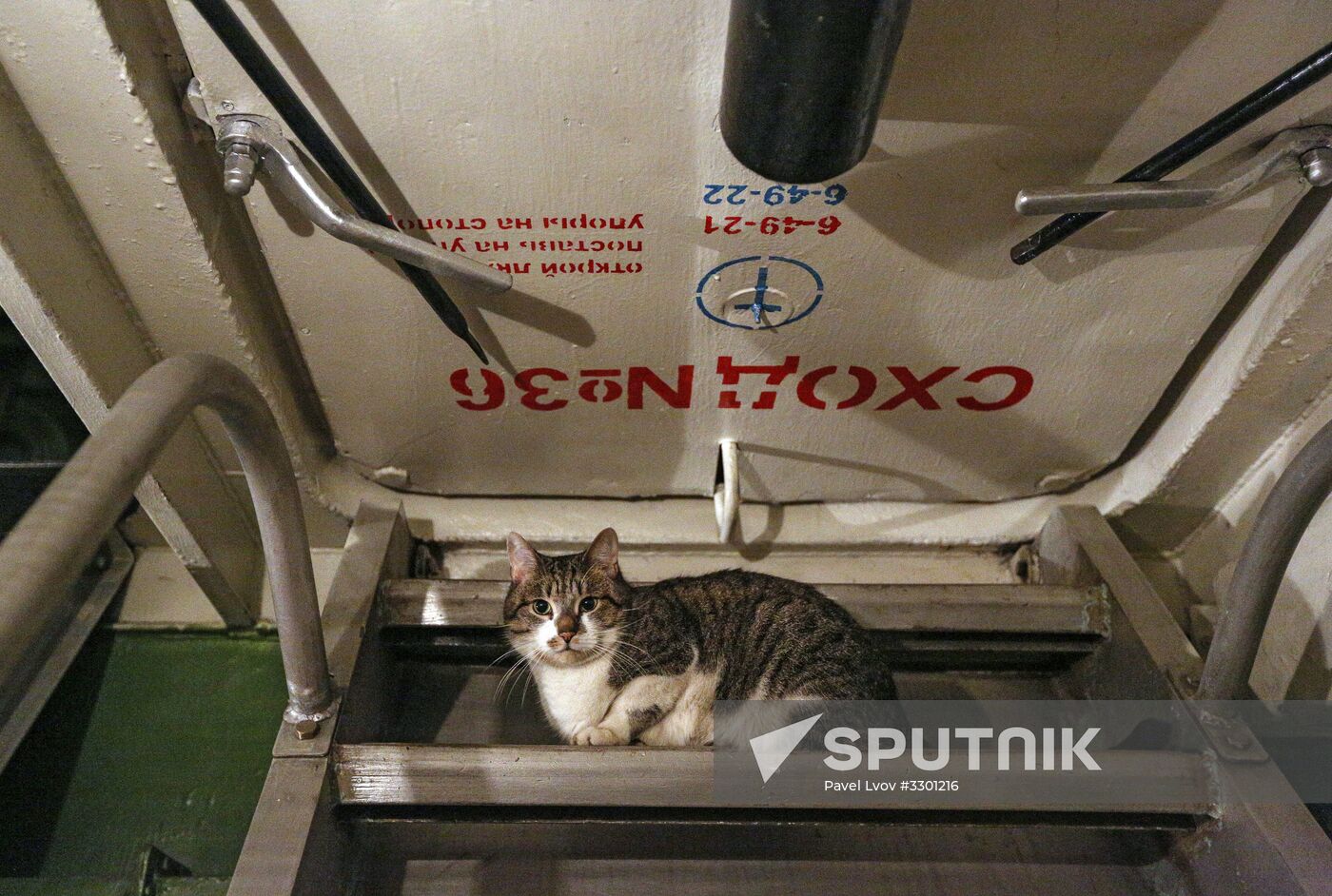 Russian aircraft carrier Admiral Kuznetsov of Northern Fleet