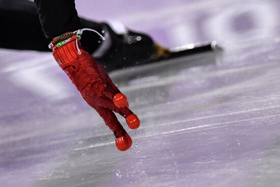 2018 Winter Olympics. Short track speed skating. Day three