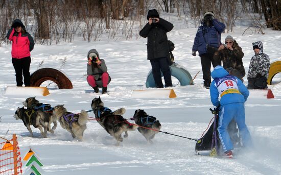 Open winter sleddog championship of Primorye Territory