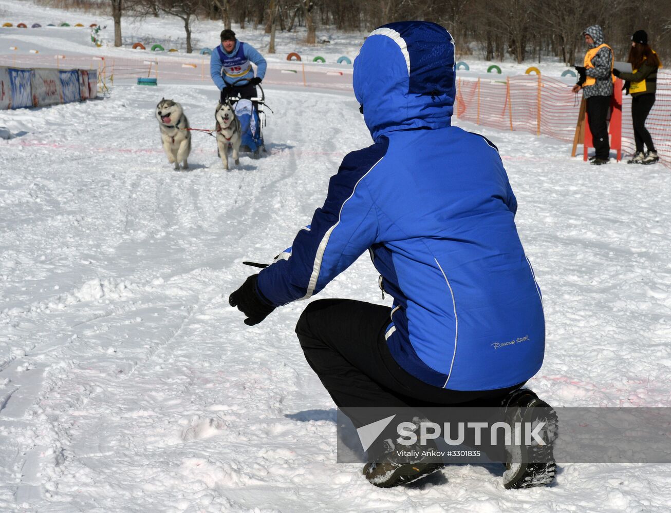 Open winter sleddog championship of Primorye Territory