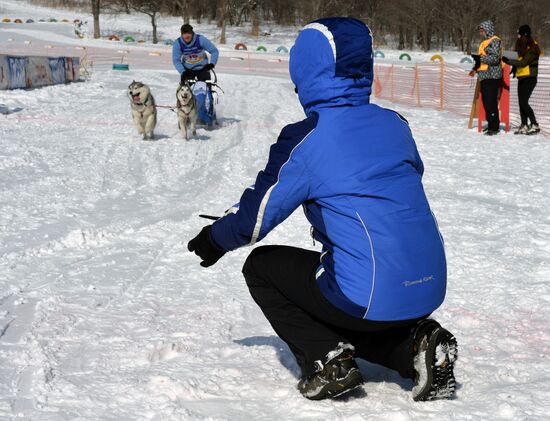Open winter sleddog championship of Primorye Territory