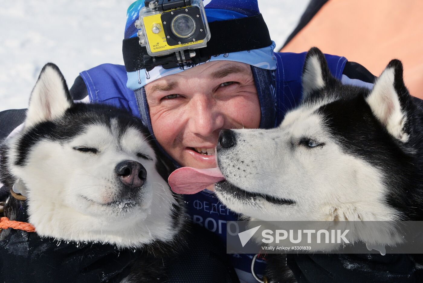 Open winter sleddog championship of Primorye Territory