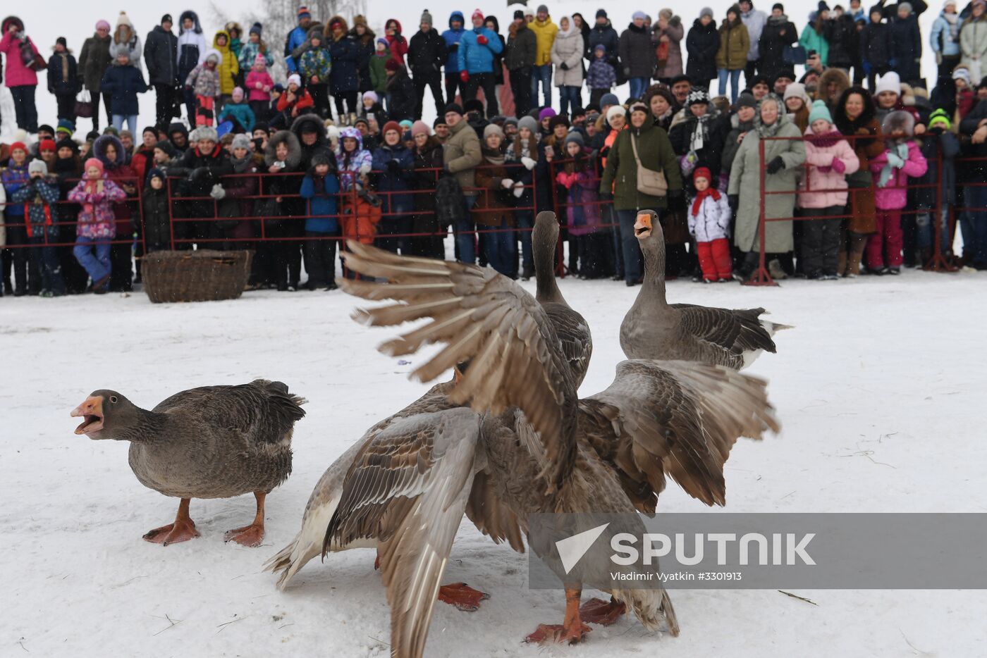 Celebration of Maslenitsa in Suzdal