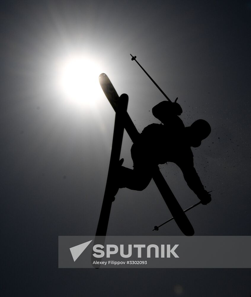 2018 Winter Olympics. Freestyle skiing. Men. Slopestyle.