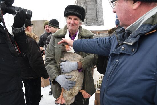 Suzdal celebrates Maslenitsa