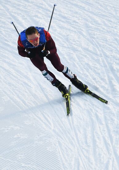 2018 Winter Olympics. Cross-country skiing. Men. Relay
