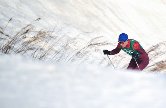 2018 Winter Olympics. Cross-country skiing. Men. Relay