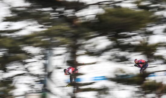 2018 Winter Olympics. Cross-country skiing. Men. Relay