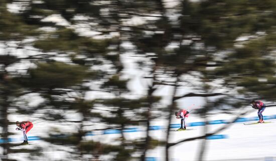 2018 Winter Olympics. Cross-country skiing. Men. Relay