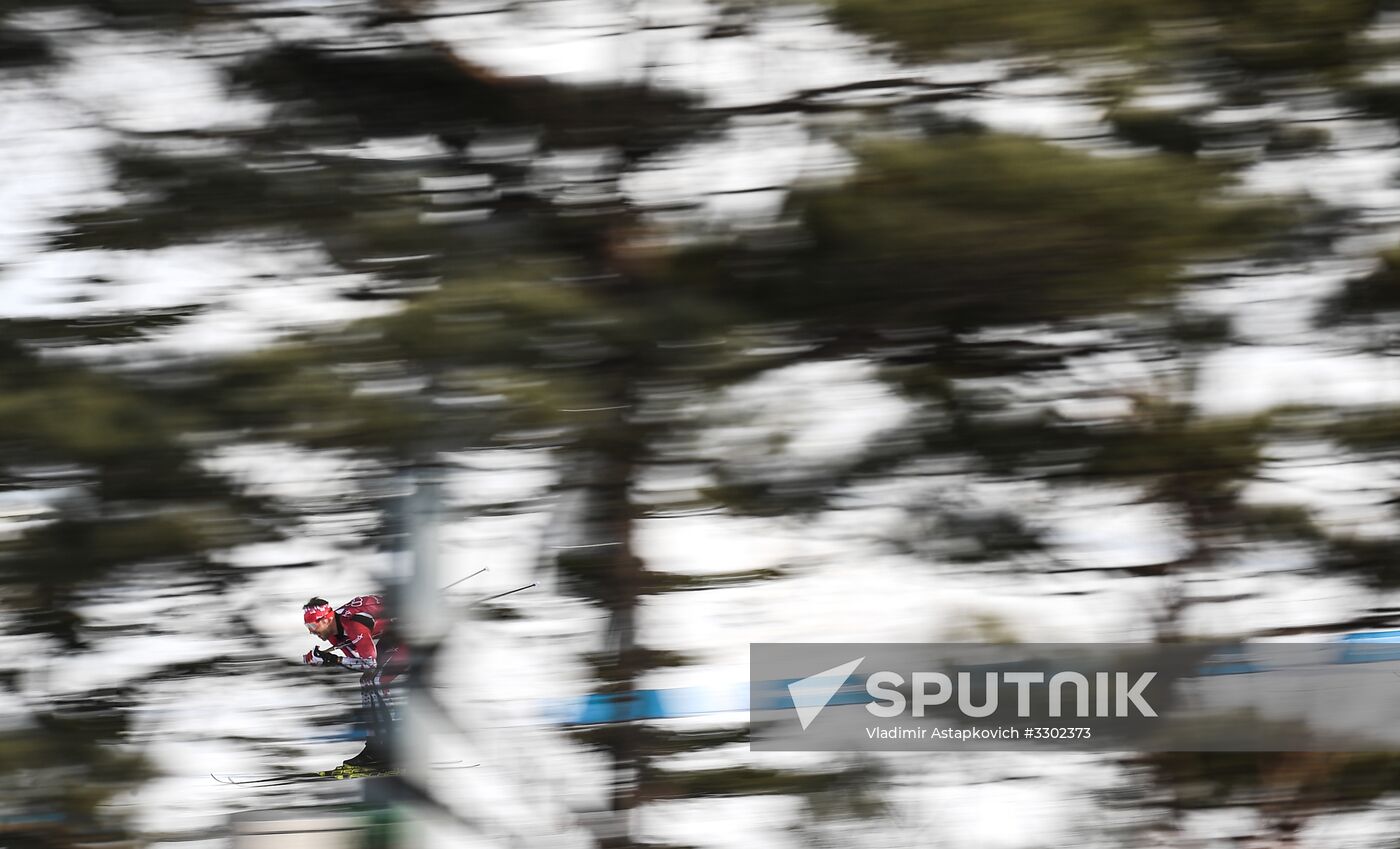 2018 Winter Olympics. Cross-country skiing. Men. Relay