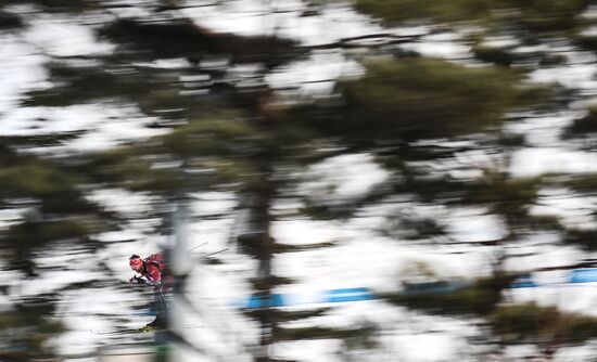 2018 Winter Olympics. Cross-country skiing. Men. Relay