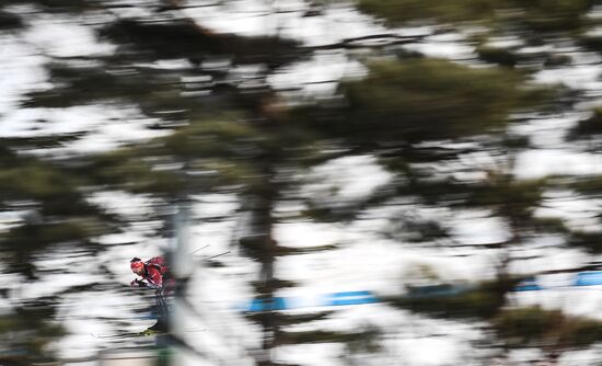 2018 Winter Olympics. Cross-country skiing. Men. Relay