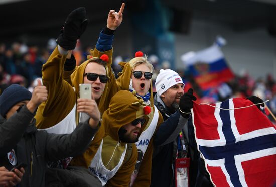 2018 Winter Olympics. Cross-country skiing. Men. Relay
