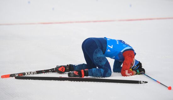 2018 Winter Olympics. Cross-country skiing. Men. Relay