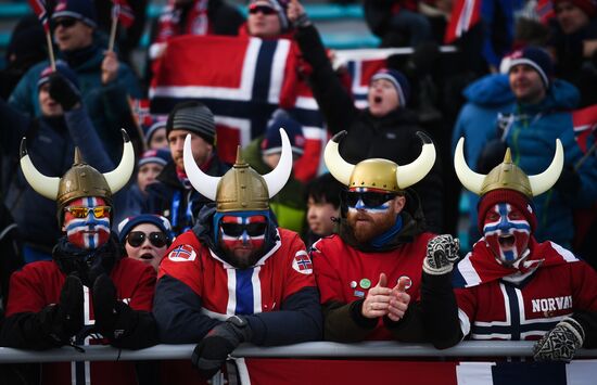 2018 Winter Olympics. Cross-country skiing. Men. Relay