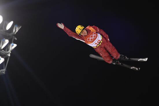 2014 Winter Olympics. Freestyle skiing. Men. Aerials