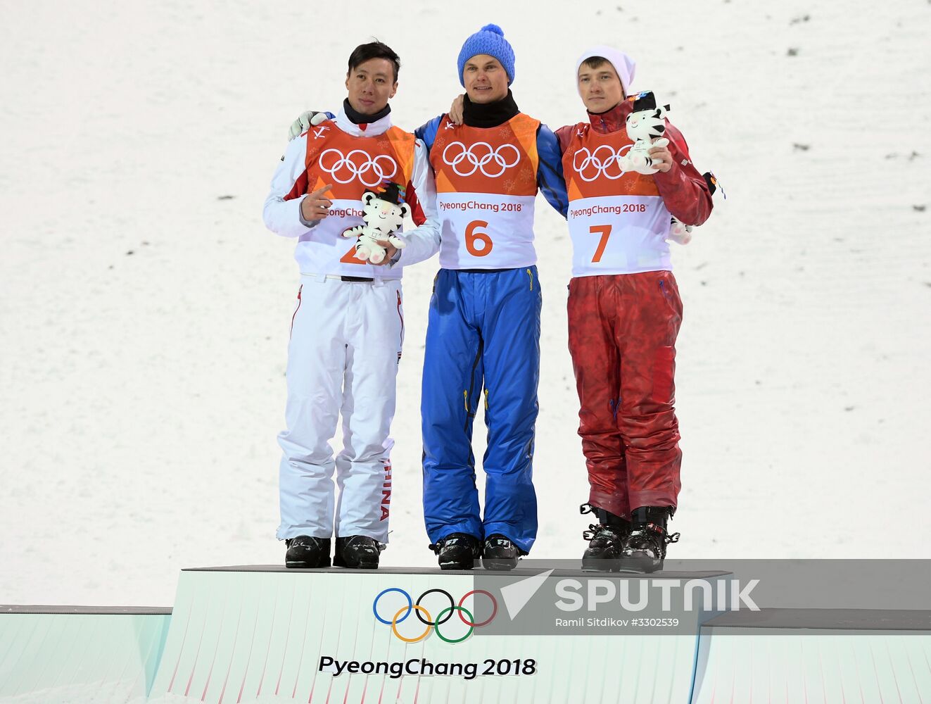 2014 Winter Olympics. Freestyle skiing. Men. Aerials