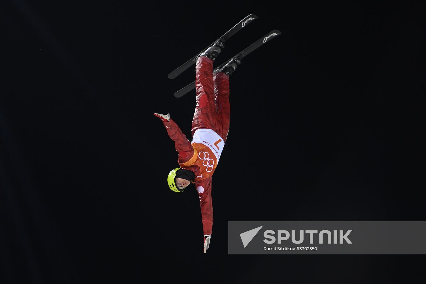 2014 Winter Olympics. Freestyle skiing. Men. Aerials