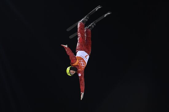 2014 Winter Olympics. Freestyle skiing. Men. Aerials