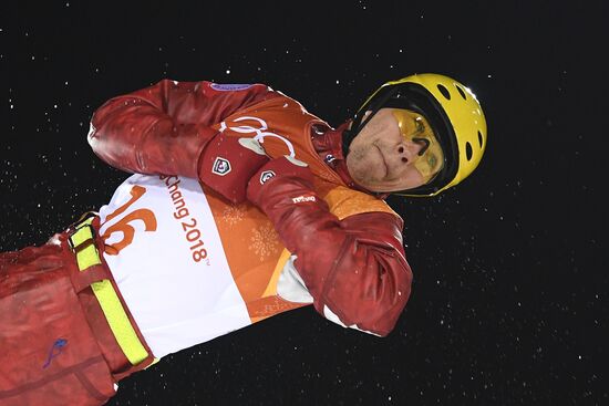 2014 Winter Olympics. Freestyle skiing. Men. Aerials