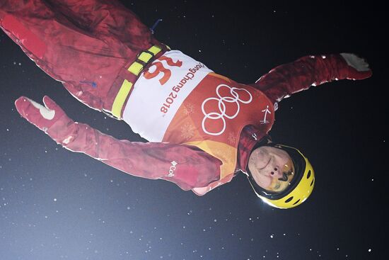 2014 Winter Olympics. Freestyle skiing. Men. Aerials