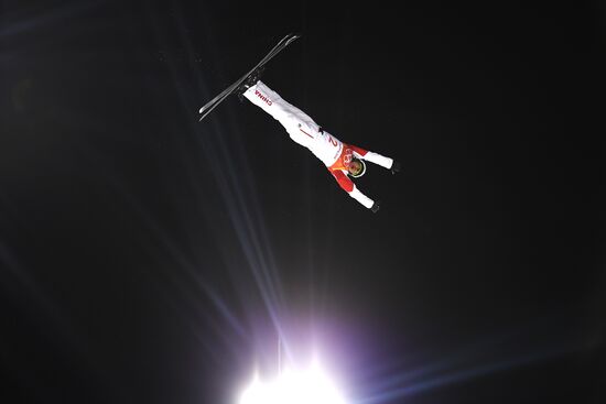 2018 Winter Olympics. Freestyle. Men. Aerials
