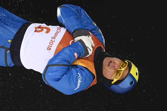 2018 Winter Olympics. Freestyle. Men. Aerials