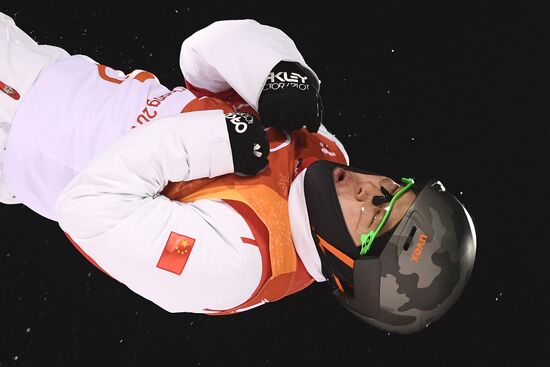 2018 Winter Olympics. Freestyle skiing. Men. Aerials